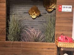 -Dragonfly 悠庭·按摩Spa(苏州中心广场店)