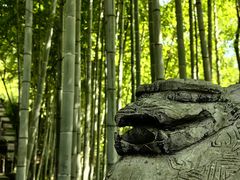 -三峡人家风景区