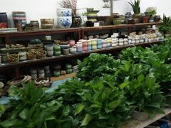 -无锡文化工艺品市场(槐古路店)
