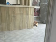 -纳吉亚猫专科动物医院(康都外科中心)