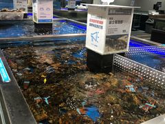 波士顿龙虾-盒马鲜生(红莲店)