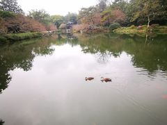 -西湖外事游船(花港观鱼码头)