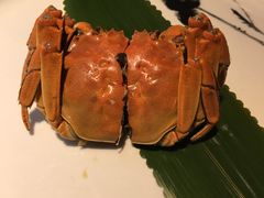 -姜君·千岛湖鱼头馆(浦东大道店)