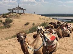 -黄沙古渡原生态旅游区