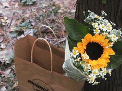 -蜀冈西峰生态公园