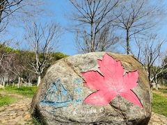 -广州市帽峰山景区