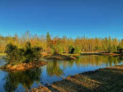 -野鸭湖国家湿地公园