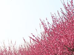 -长广溪湿地公园