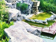 -上海吴淞炮台湾国家湿地公园