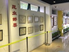 -上海昆虫博物馆