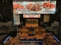 -蟹道乐(道顿堀本店)