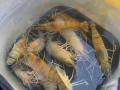 -DGE季风钓虾营地·团建·聚会