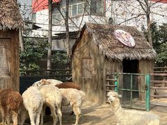 -郑州市动物园