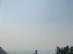 -南山植物园