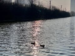 -前关湿地公园