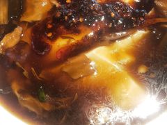 -贺秦生陕面王(富力城店)