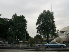 -广州市第二少年宫