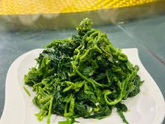 -春满园生态餐厅(南宫路店)