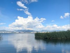 -洱海月湿地公园