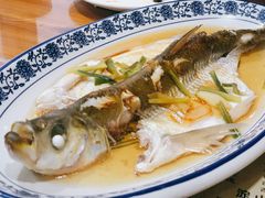 清蒸白水鱼-洞天食府(北大街店)