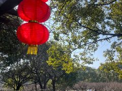 -白马涧龙池景区