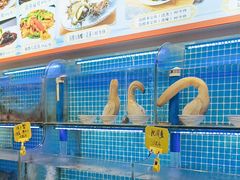 -前王院•巧克力海鲜市集餐厅(万平口店)