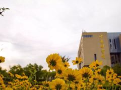 图书馆-上海海事大学(临港校区)