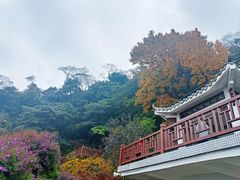 -广州市石门国家森林公园
