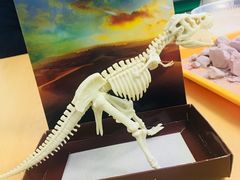 -斯坦星球AI编程·机器人科创·科学实验·信奥·思维·STEM·积木拼搭·竞赛考级(浦东联洋广场大拇指龙阳御桥中心)