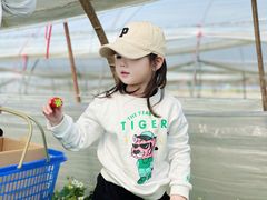 -小鱼草莓采摘园农家乐·小鱼餐厅