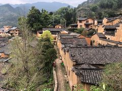 -杨家堂村