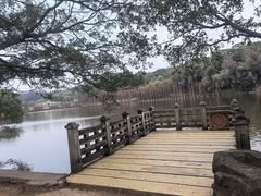 -三水森林公园