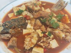 -煲来饱去冷水鱼