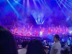 -广州长隆国际大马戏