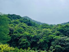 -马峦山郊野公园