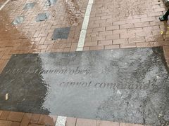-宾夕法尼亚大学沃顿商学院