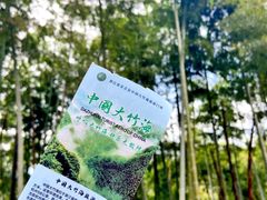 -中国大竹海景区