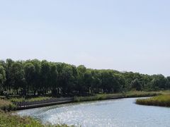 -野鸭湖国家湿地公园