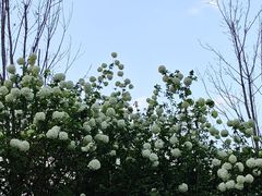 -大龙山(地铁站)