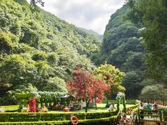 -少华山国家森林公园
