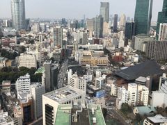 -东京塔海贼王主题公园