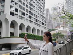 -尼依格罗香港美利酒店