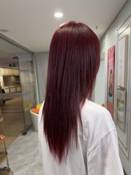 -镁连社·美联社