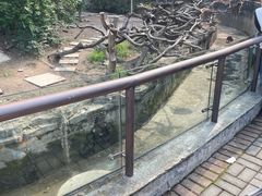 -宁波野生动物园