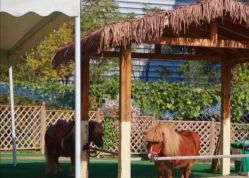 -萌宠亲子动物乐园(槐房万达店)