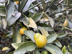 -小草屋轰趴馆别墅派对新场团建家庭聚会