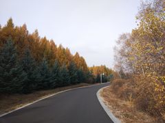 -塞罕坝国家级自然保护区