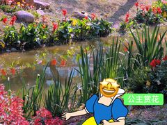 -人民公园(罗湖区)