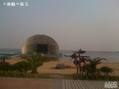 -碧海金沙