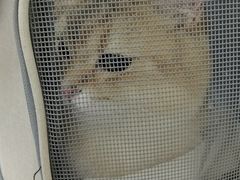 -全心全意动物诊疗中心医院(北苑店)